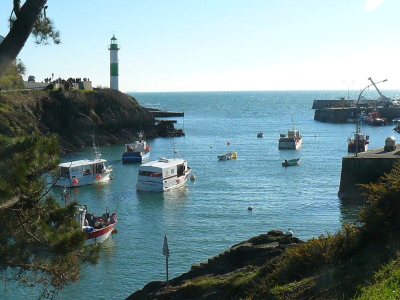 L’entrée du port de DOËLAN avec sa balise verte « DOËLAN AVAL ». Ce premier espace portuaire est réservé aux pêcheurs professionnels, ils sont une douzaine, certains d’entre eux vendent leur pêche, tous les après midi, sous la halle rive droite.